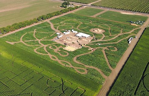 Two stabbed in Dixon corn maze at Cool Patch Pumpkins; Sacramento man arrested