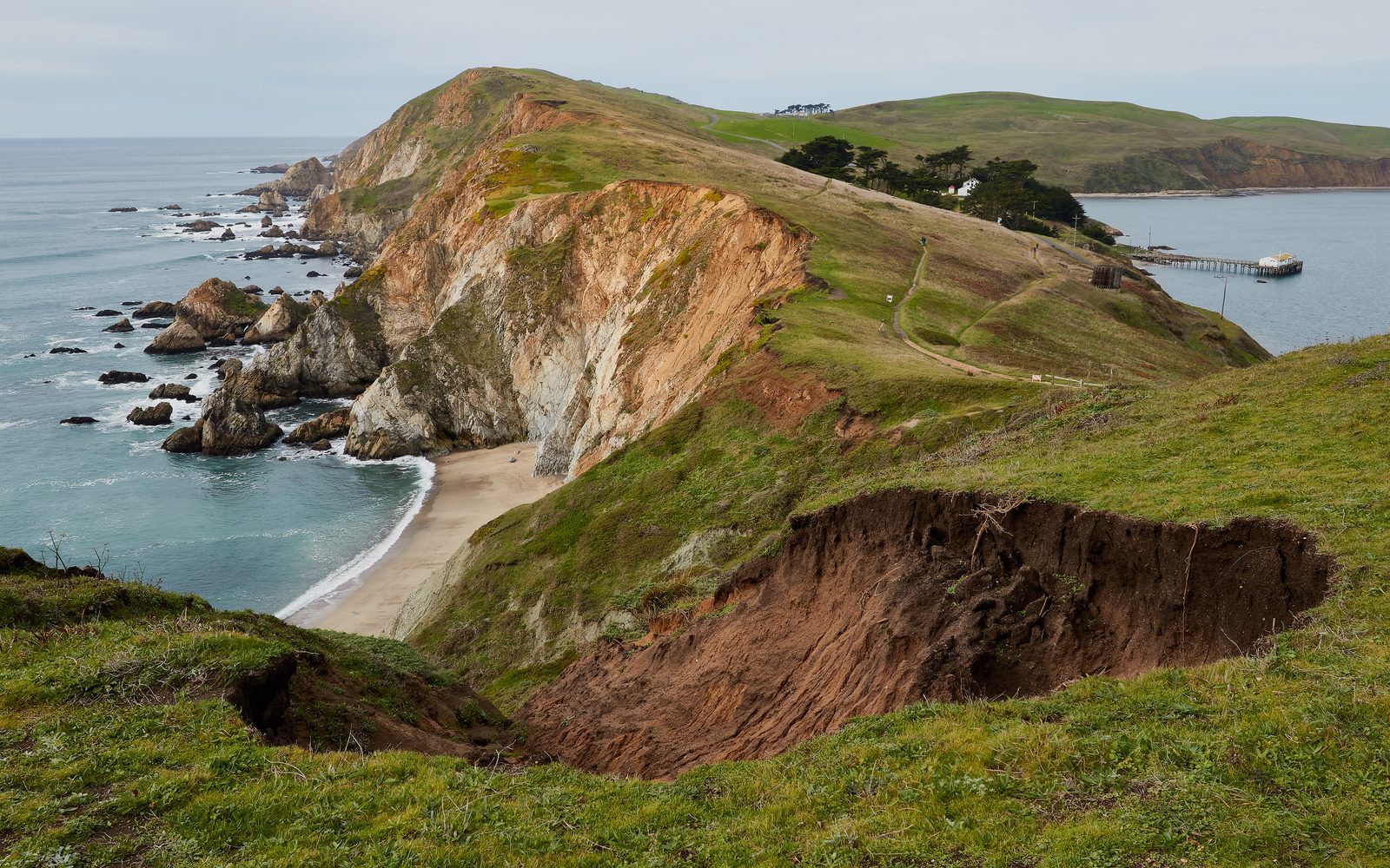 Coastline near Chimney Rock. Removing ranch infrastructure and reestablishing native plant communities is a multi-decade project.