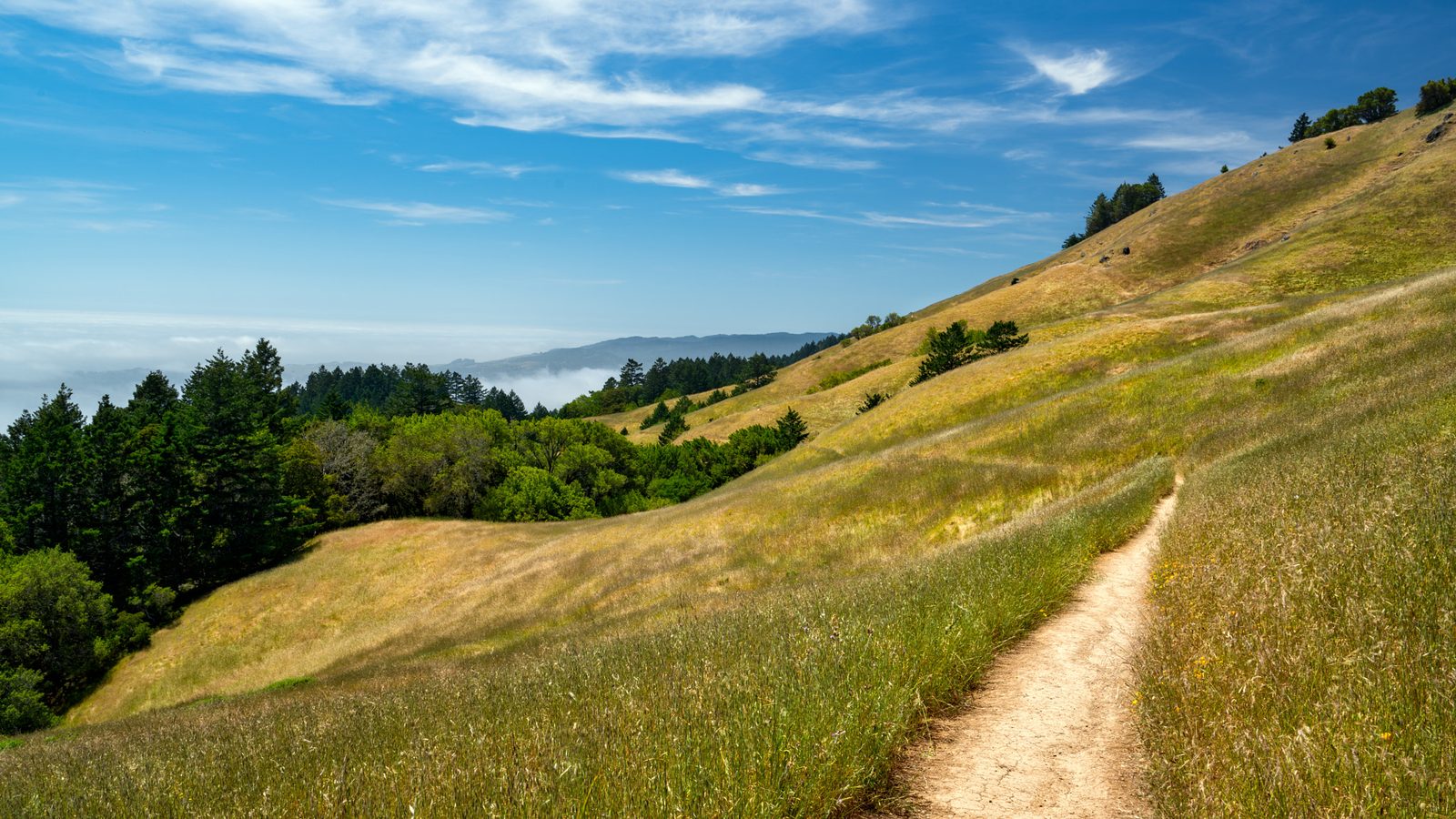 A trail crosses open grassland on Mount Tamalpais. Three watershed trails near Pine Point will be closed during the burn, and visitors are required to heed the closure signs.