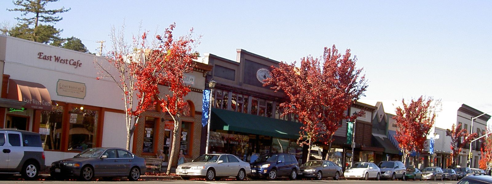 Main Street in Sebastopol. A and M BBQ operates on South Main Street, in an Office Commercial district where the city says outdoor commercial barbecues are prohibited.