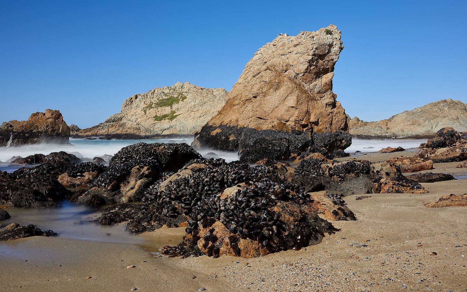 McClures Beach in Point Reyes National Seashore. The county says the spill is a reminder to check septic systems ahead of the storm season, when failing systems can send waste toward creeks and the bay.