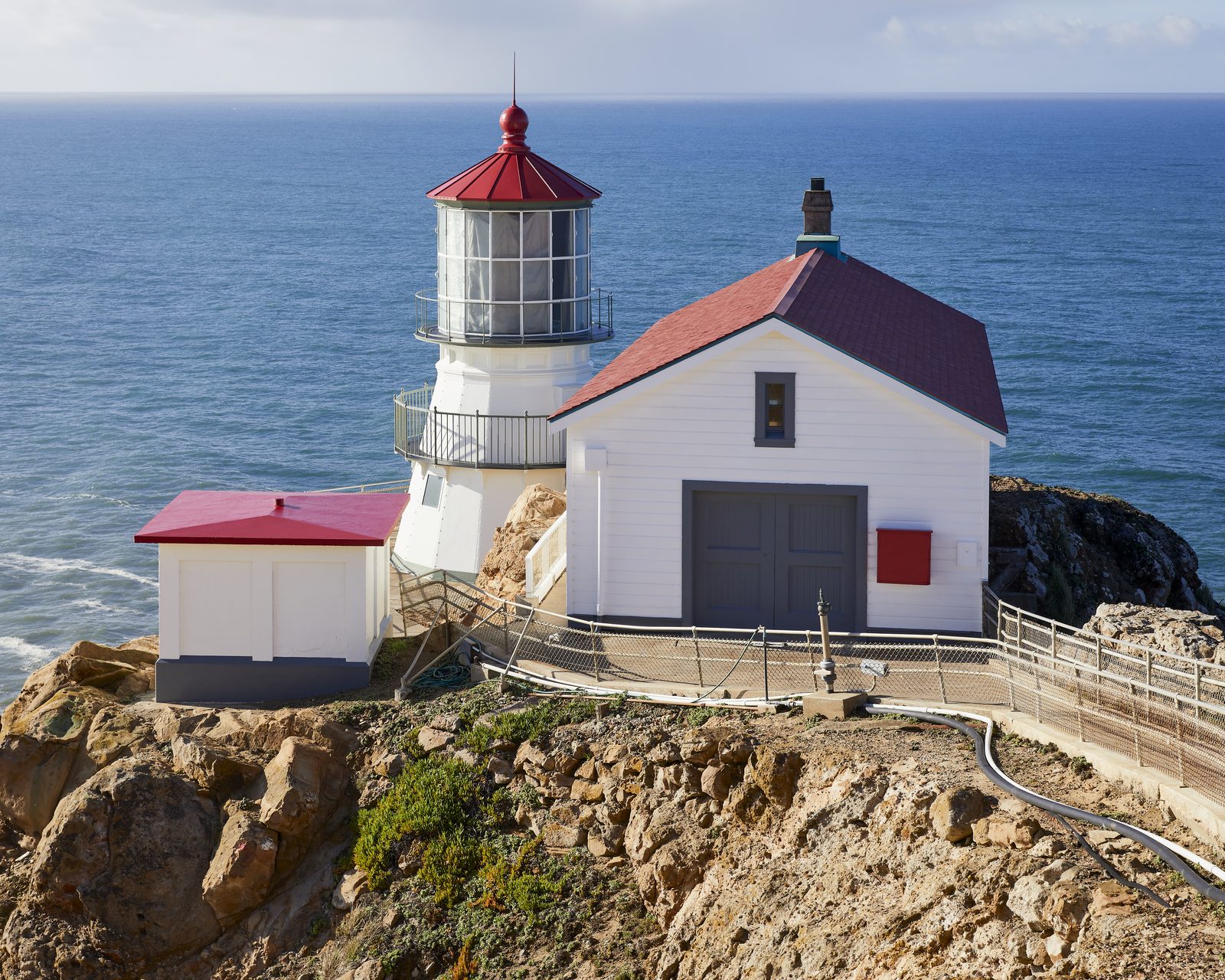 Point Reyes after the ranches: restoration begins on the land the cattle left