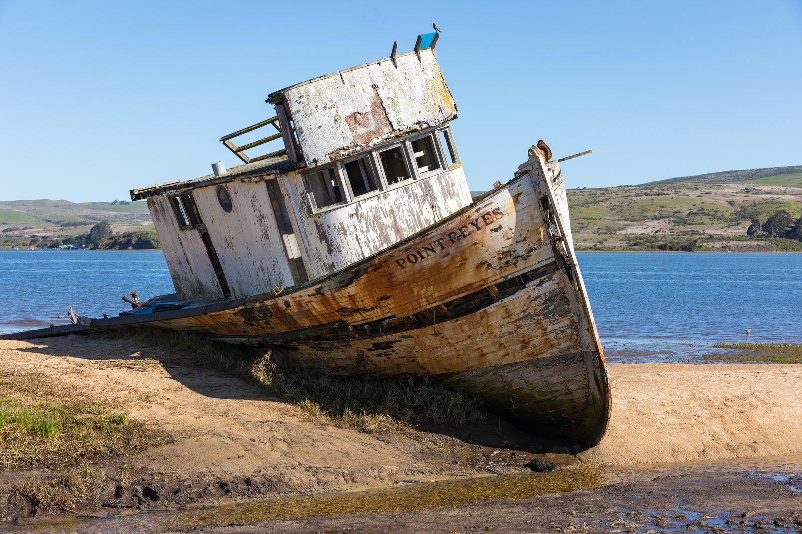 Sewage leak closes Tomales Bay shellfish beds, and Hog Island pulls 200,000 oysters
